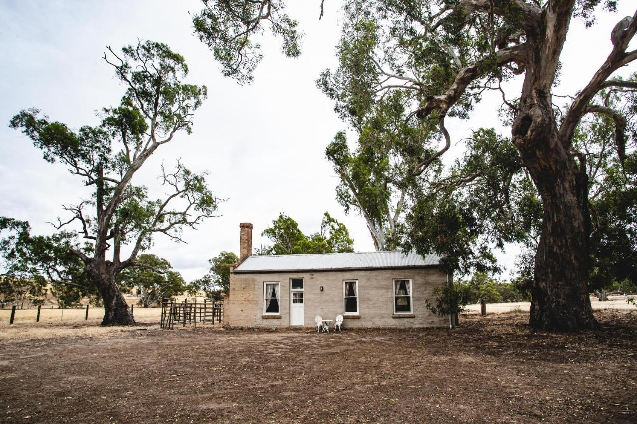 Ravenswood Homestead Kültér fotó